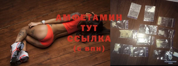 a pvp Пересвет